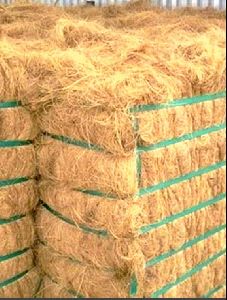 Coir Fiber