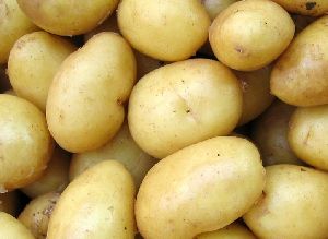 Jyoti Potato