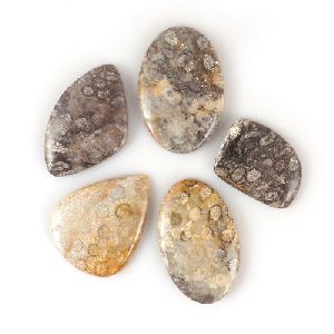 Fossil Coral Gemstone