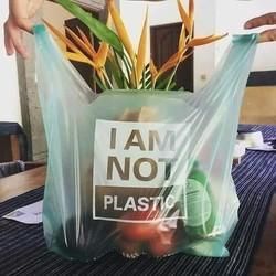 Biodegradable Compostable Carry Bags