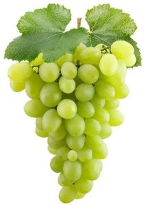 Fresh Green Grapes