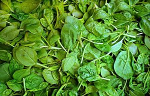 Fresh Spinach