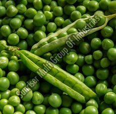 Fresh Green Peas