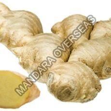 Fresh Ginger