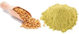 Fenugreek Powder