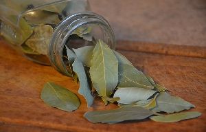 Dried Bay Leaves