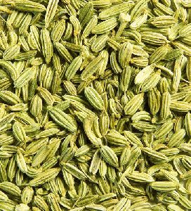 Fennel Seeds