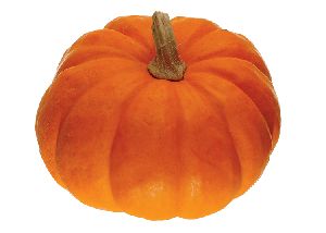 fresh Pumpkin