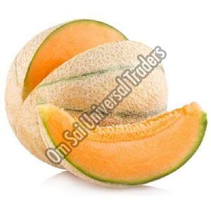 Fresh Muskmelon