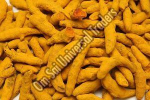 Turmeric Finger