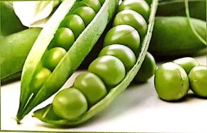 Fresh Green Peas