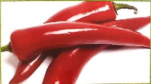 Fresh Red Chilli