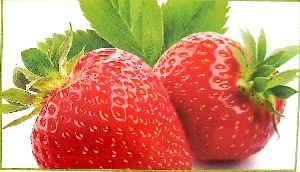 Fresh Strawberry