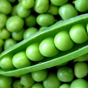 Fresh Green Peas