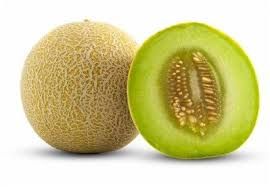 Fresh Muskmelon