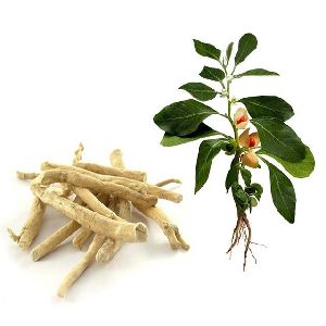 Ashwagandha Herb