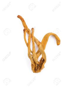 Dried Cordyceps Militaris