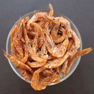 Dry Shrimps