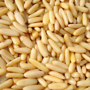 Pine Nut Kernel