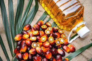 Refined Palm Oil