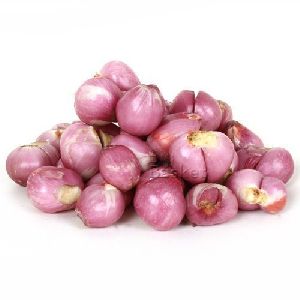 Sambar Onion