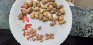 Shelled Groundnuts