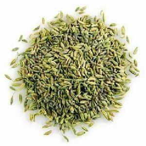 Small Fennel Seeds