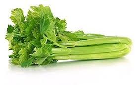 Fresh Celery