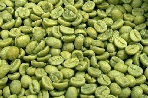 Green Coffee Beans Extract