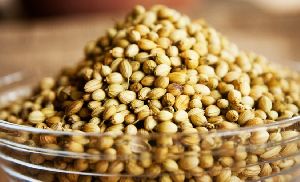 Coriander Seeds