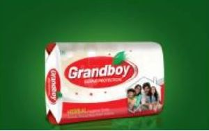 Antibacterial Soap