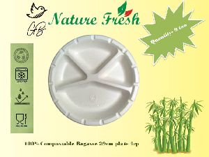 4 CP Bagasse Plate