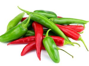 Fresh Chilli