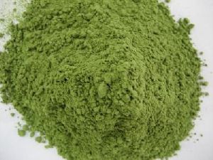 BERMUDA GRASS POWDER