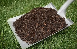 cow dung compost