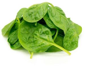 Fresh Spinach Leaves