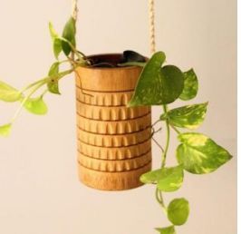 Bamboo Plant Holder