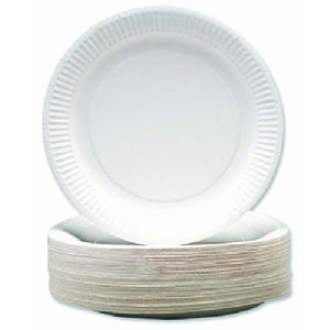 Disposable Thermocol Plate