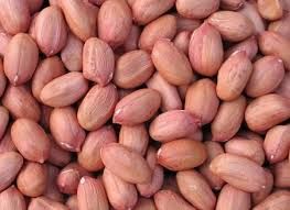 Ground Nut Seeds