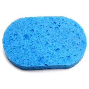 cellulose sponge