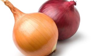 Fresh Onion