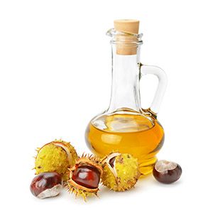 BEECH NUT OIL