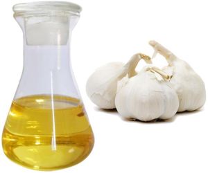 Garlic Oil