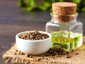 Hemp Seed Oil