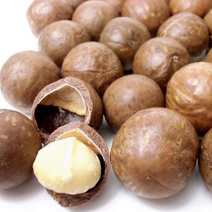 Macadamia Nut