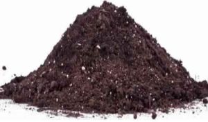 Organic Compost