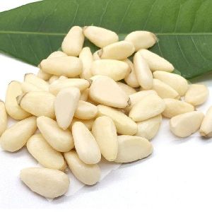 Pine Nut Kernel