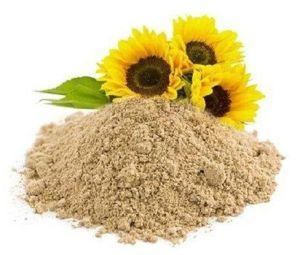 Sunflower Lecithin Powder