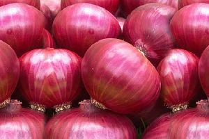 Fresh Red Onion