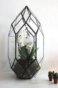 Beautiful glass terrarium